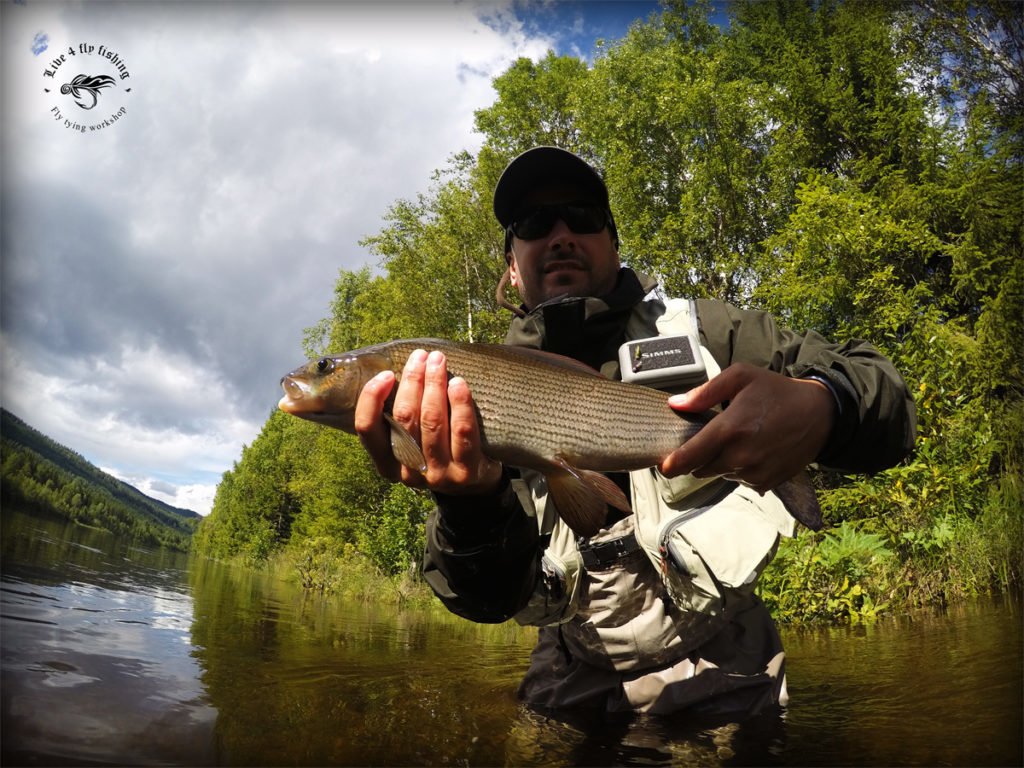 Short video from fishing trip to Norway. Live 4 Fly Fishing